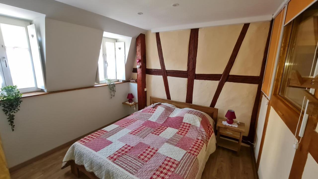 Appartement Duplex Climatise Avec Terrasse "Hansi" Colmar Luaran gambar