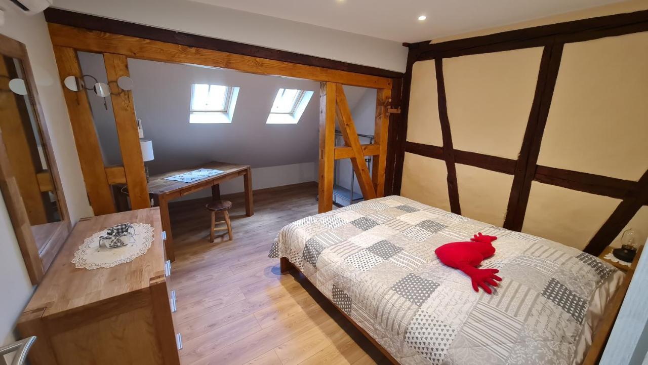 Appartement Duplex Climatise Avec Terrasse "Hansi" Colmar Luaran gambar